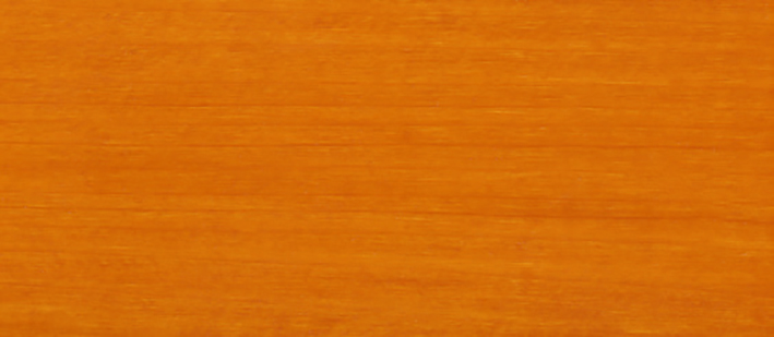 ApiDana® Beutenpflegeöl