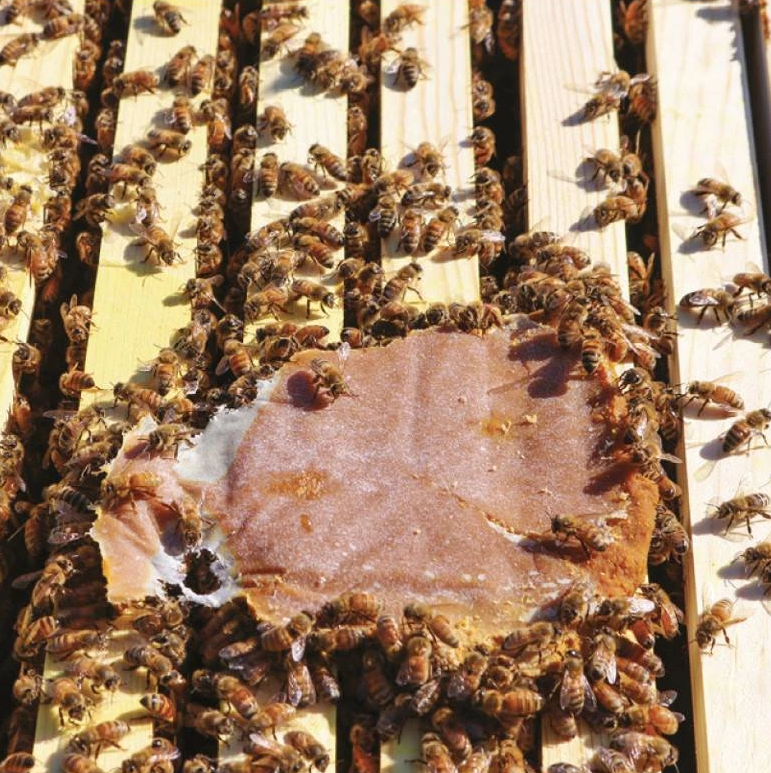 Ultra Bee® Pulverfutter