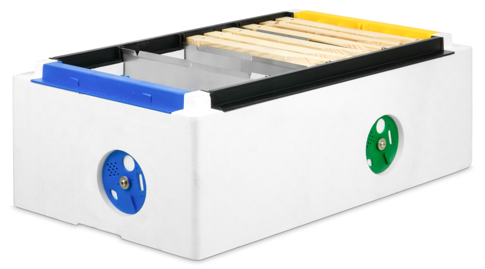Quadri / P-Hive Zuchtzarge
