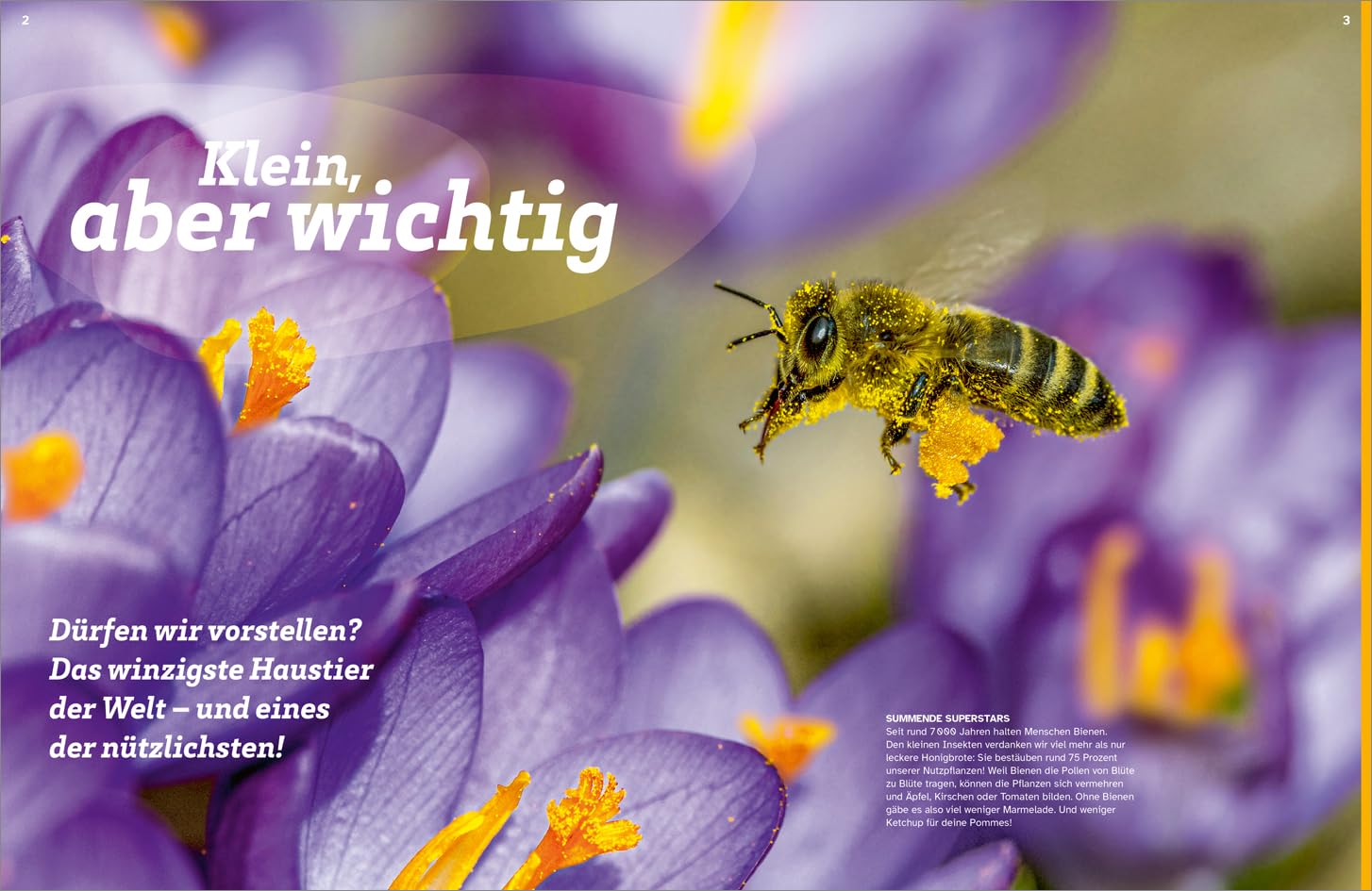 WAS IST WAS Bienen Summende Genies