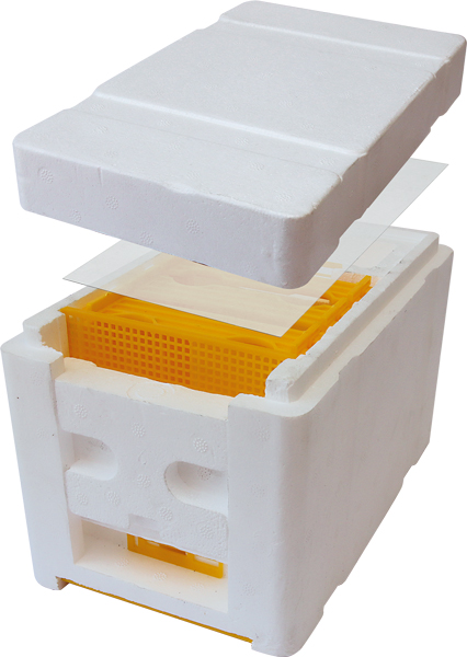 HOBBEE® Begattungskasten "Rheintal"