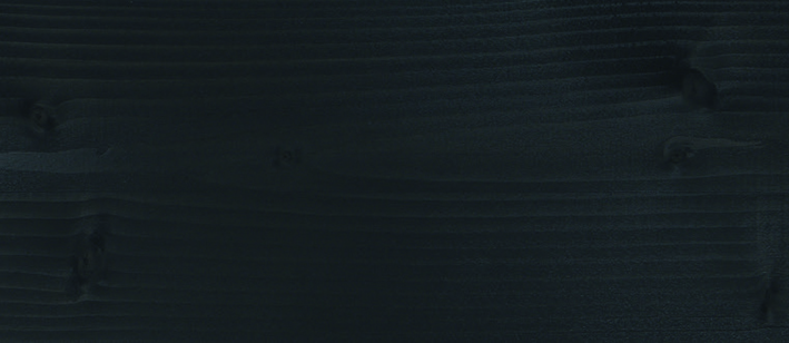 ApiDana® Beutenschutz-Lasur