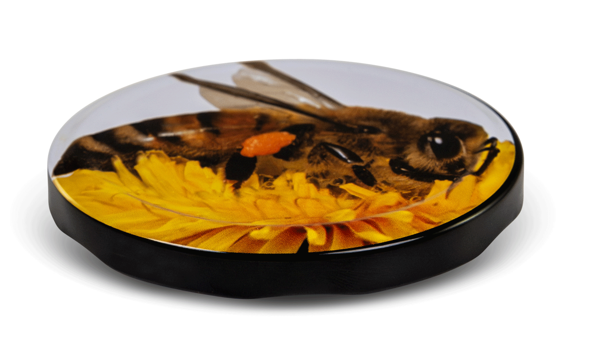 Twist Off Ersatzdeckel