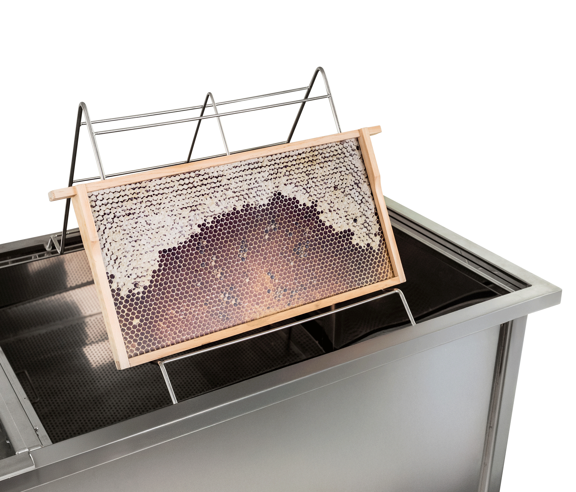 HOBBEE® Schleuder + Entdecklungstisch