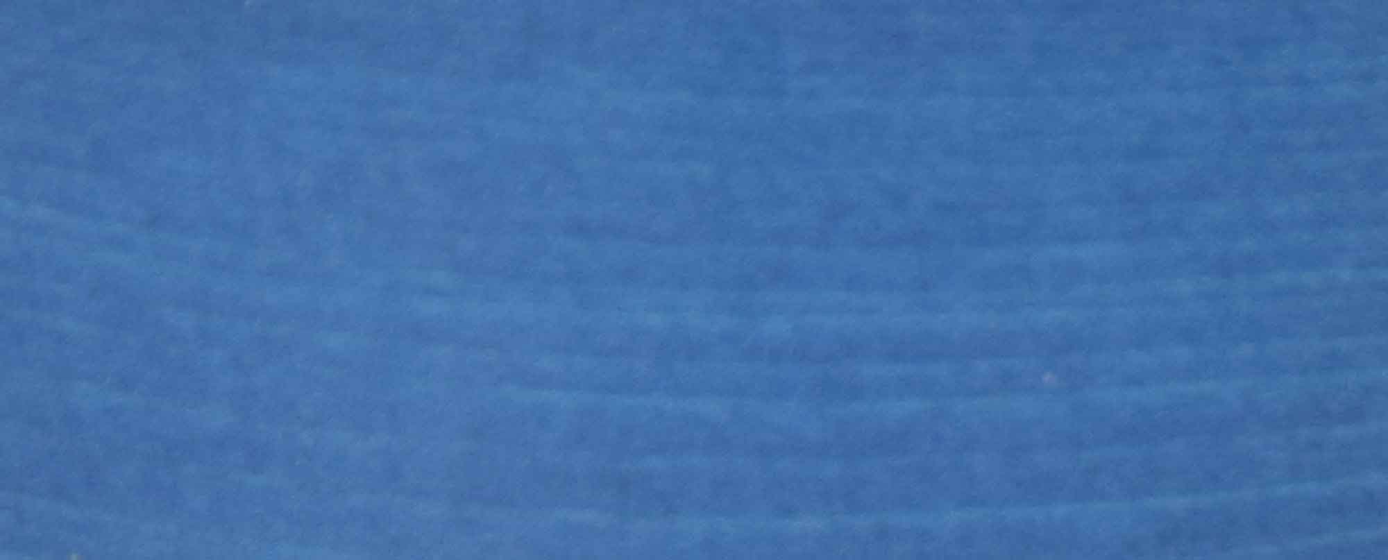 ApiDana® Beutenpflegeöl