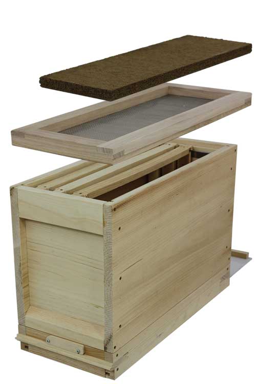 Dadant Ablegerkasten