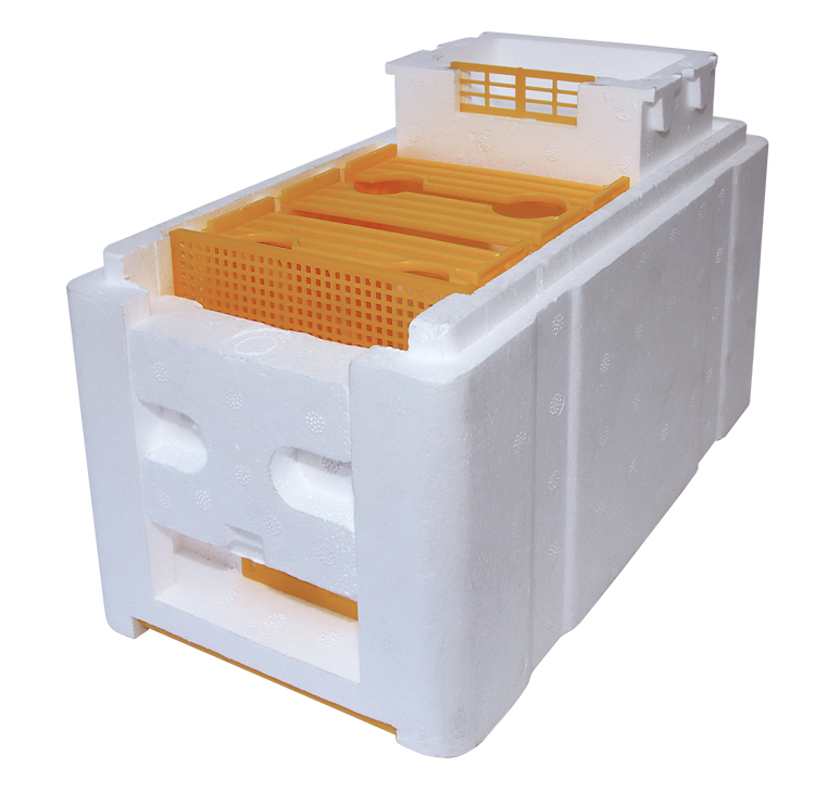 HOBBEE® Begattungsbox "Rheintal Plus"