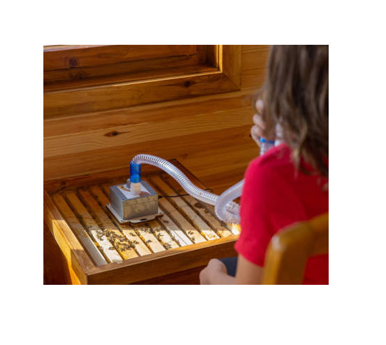 Bienenstockluft + Verdampfer