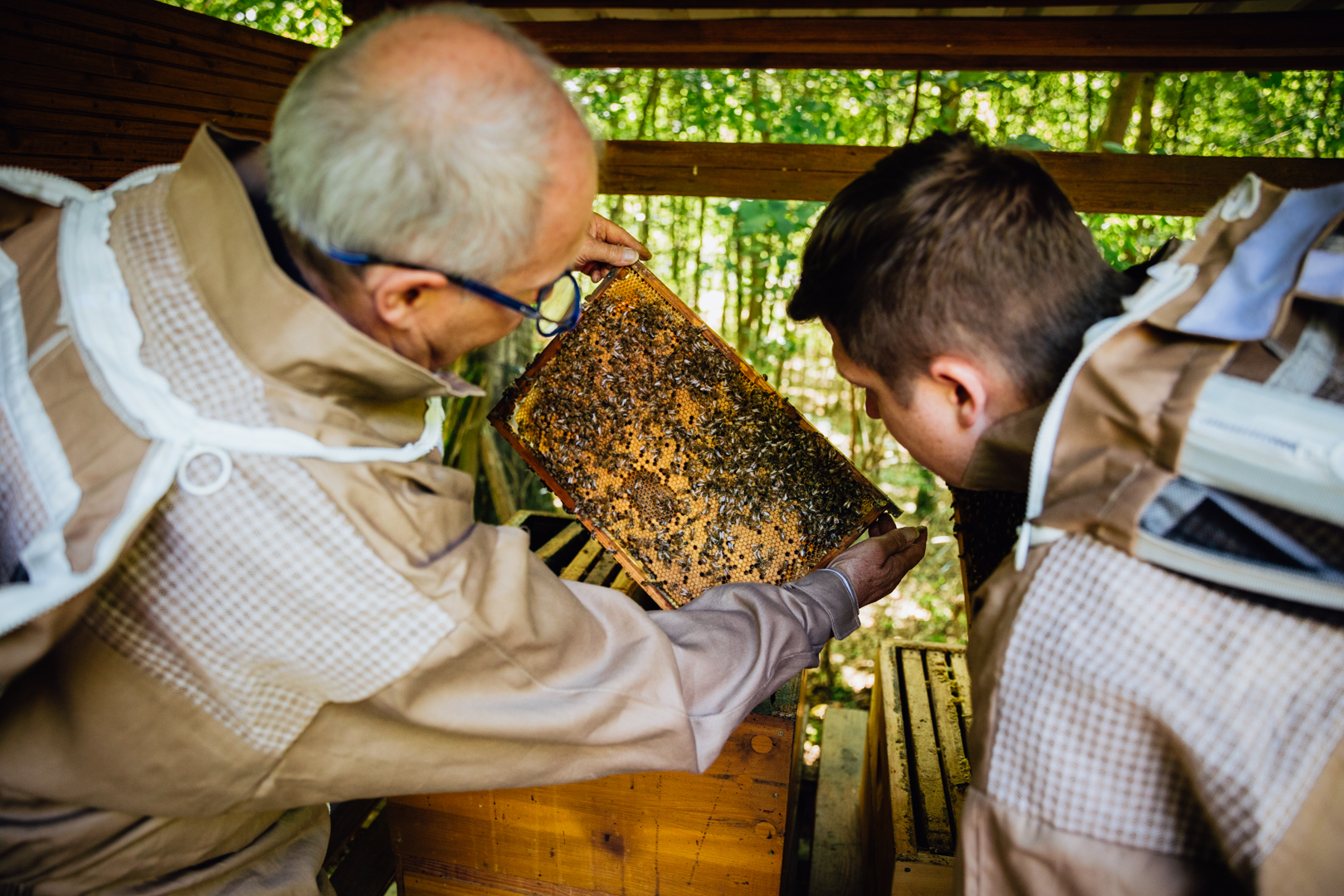 Bienatura®  deutscher Blütenpollen