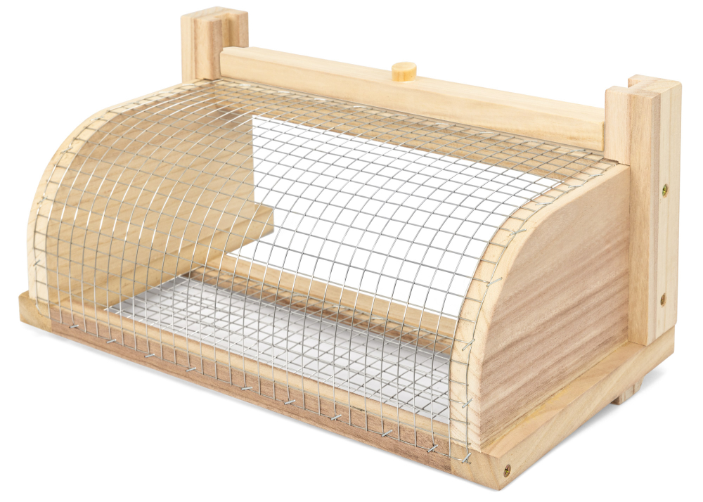 RuBee® Segeberger Flachboden Vespaschutzgitter