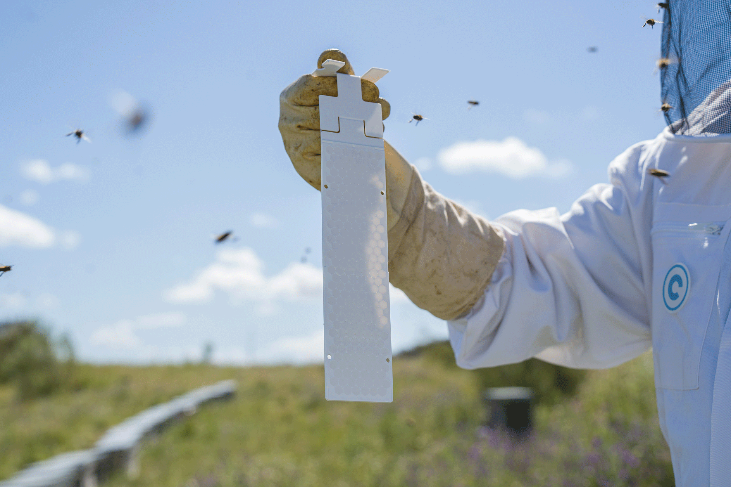 Calistrip® Biox Oxalsäurestreifen