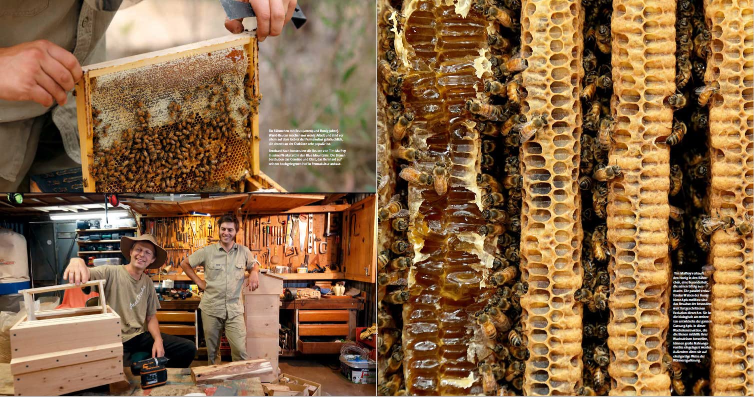 Die Wege des Honigs