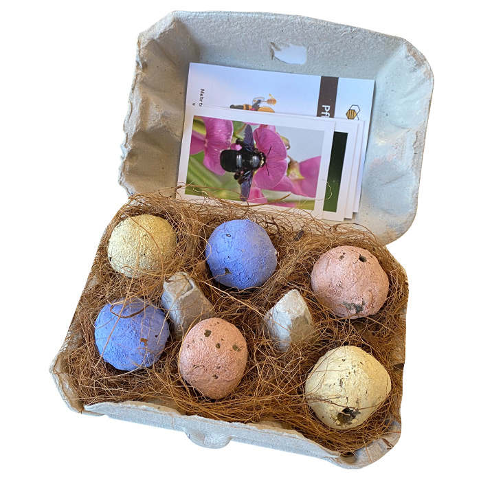 Bieneninsel Blumen Kugeln