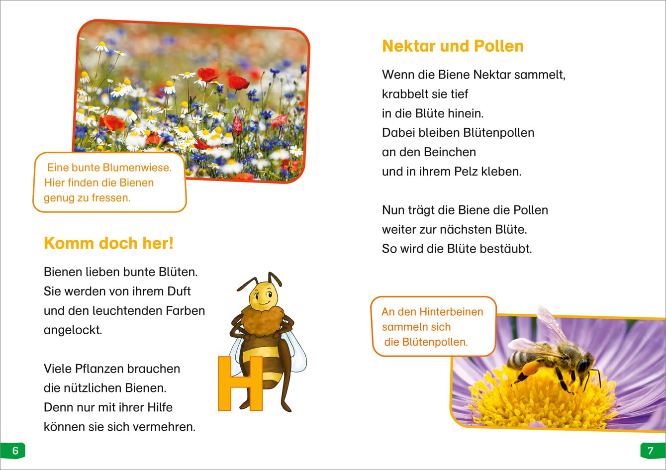 WAS IST WAS Erstes Lesen easy! Wie lebt die Honigbiene?