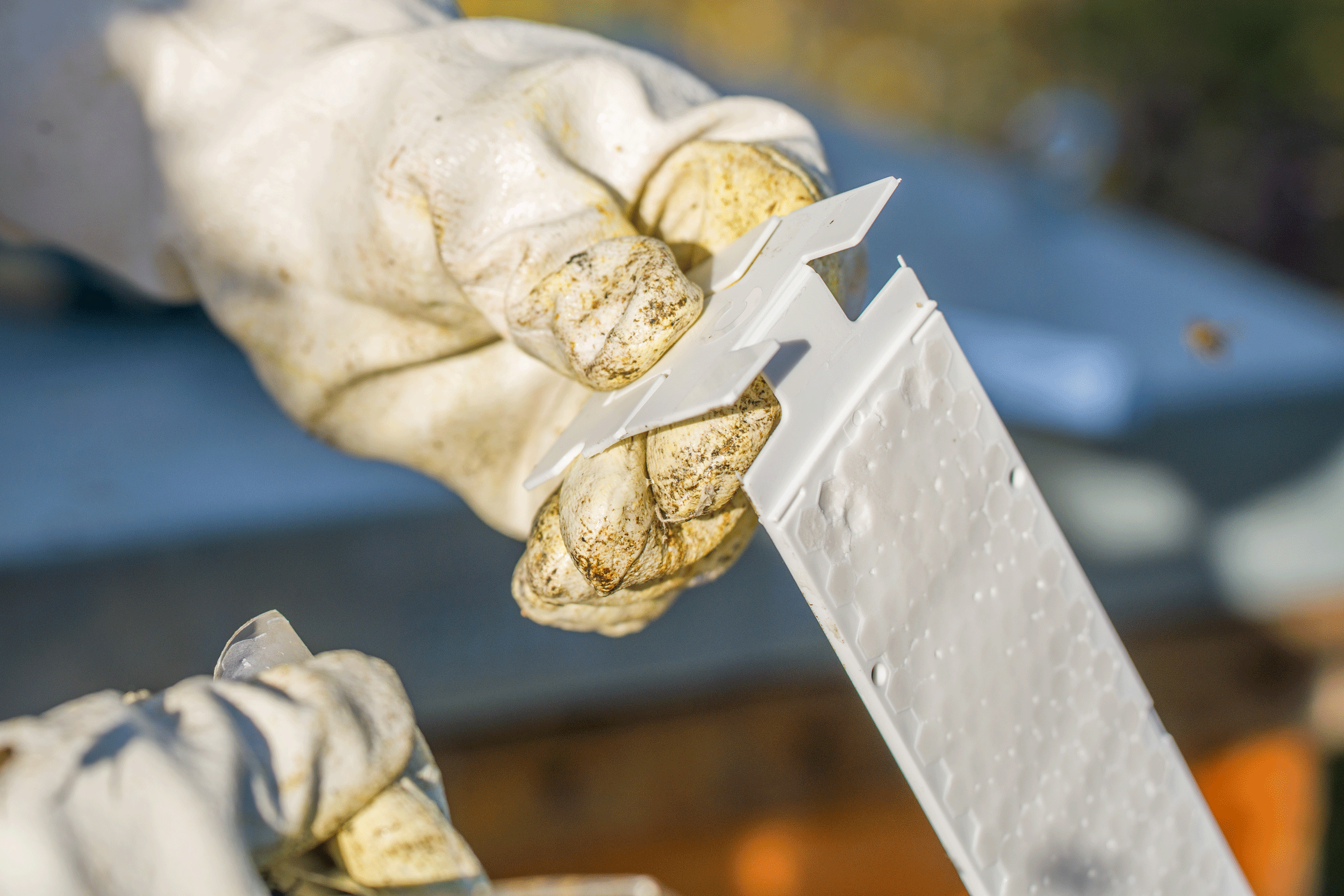 Calistrip® Biox Oxalsäurestreifen