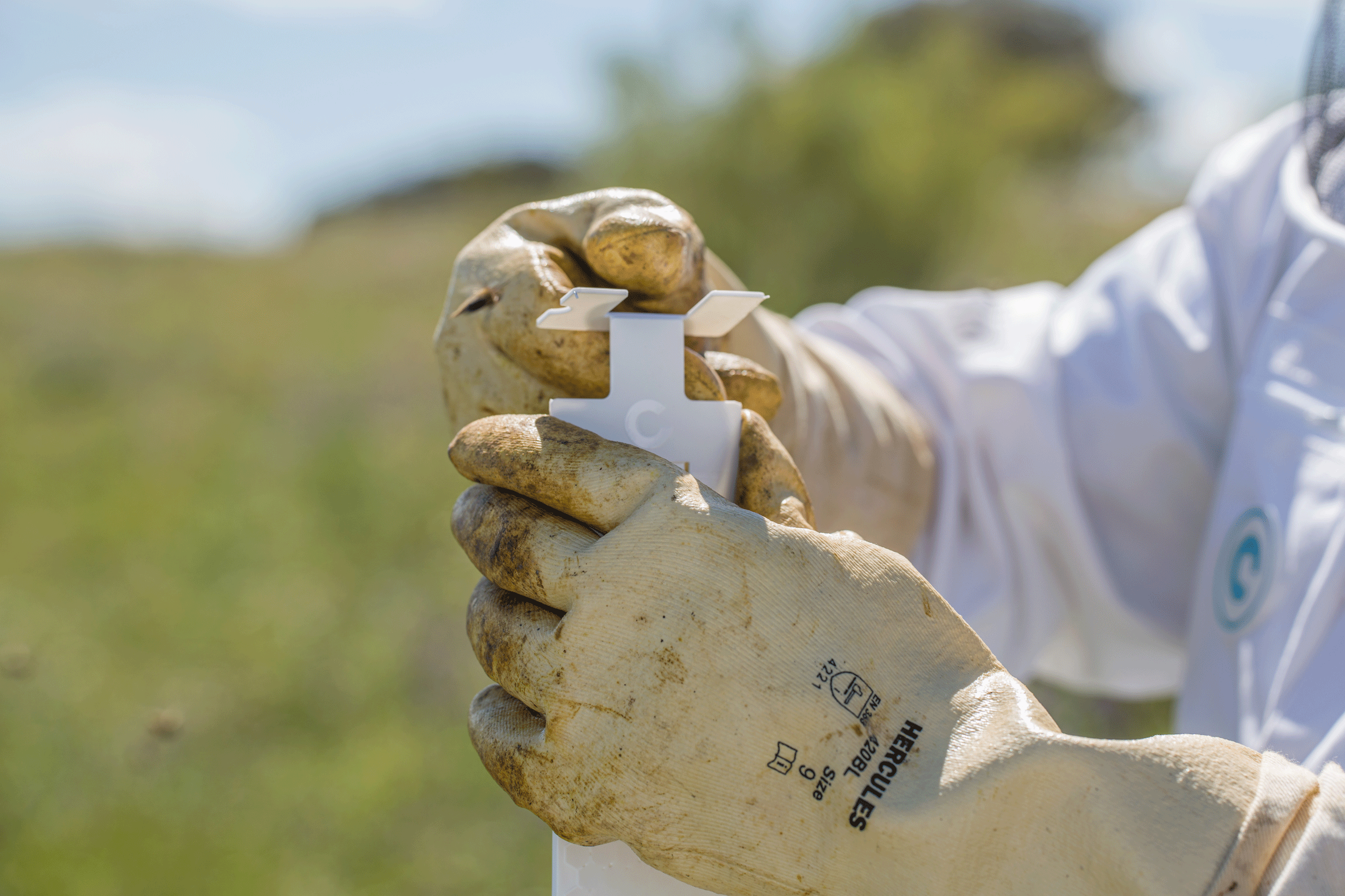 Calistrip® Biox Oxalsäurestreifen