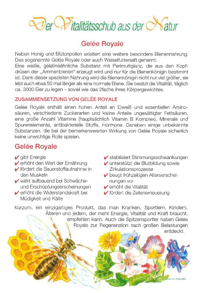 Werbebroschüre "Der Zauberkorb bringt Lebenskraft"