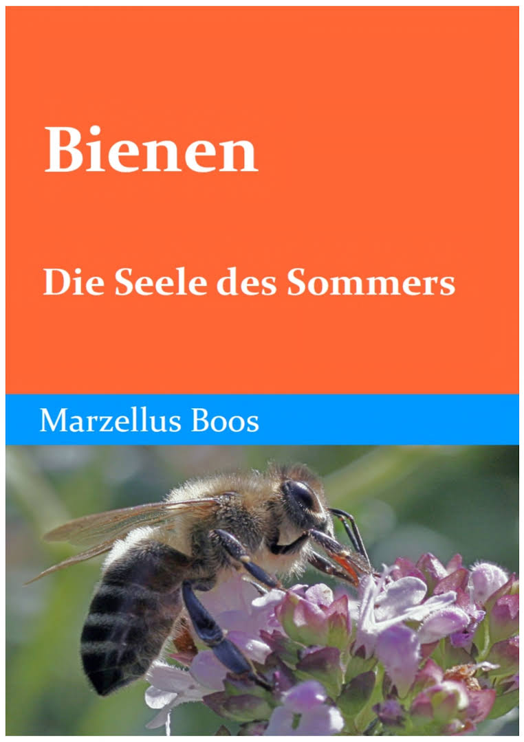 Bienen - Die Seele des Sommers