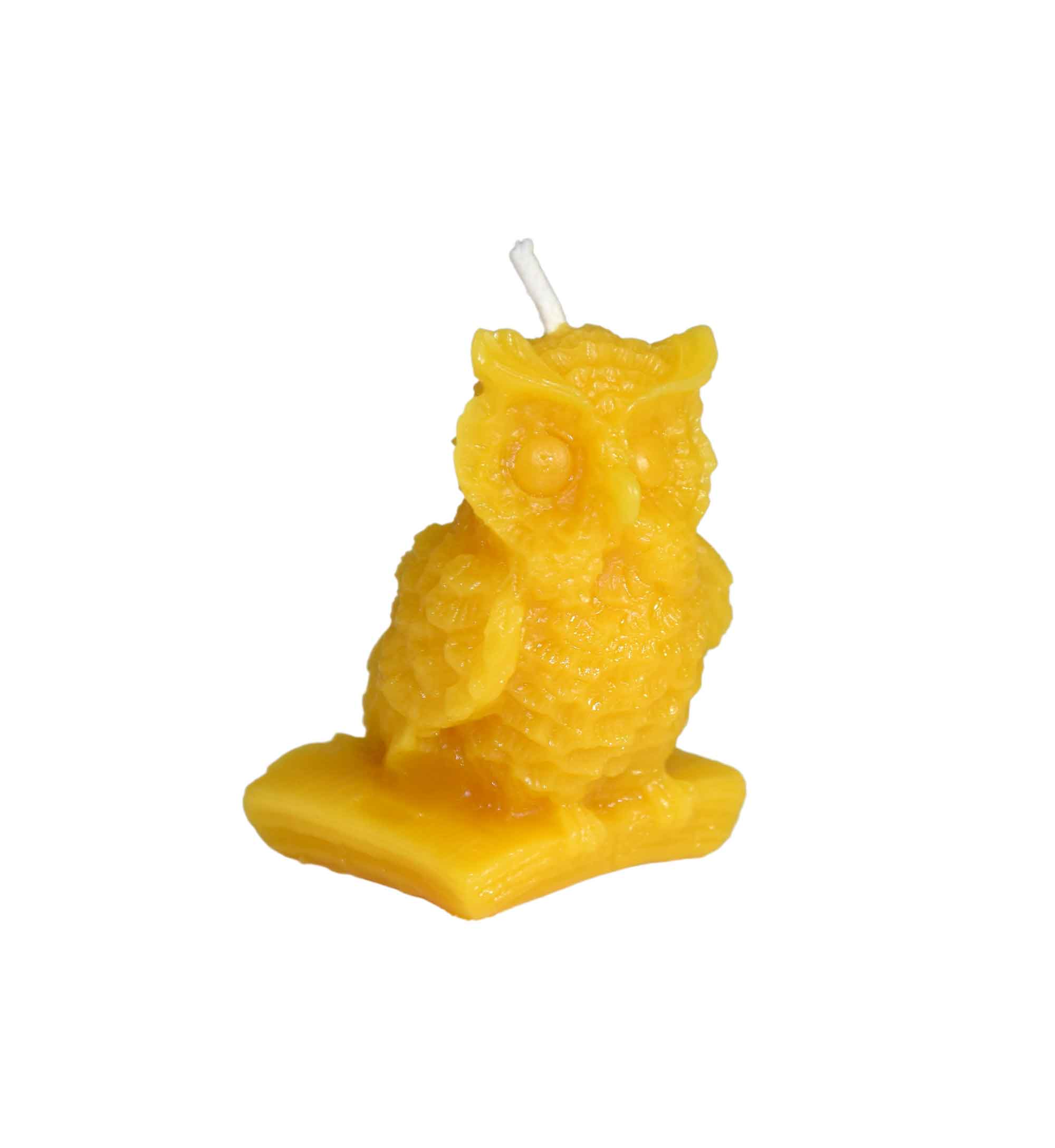 Gießform Eule auf Buch