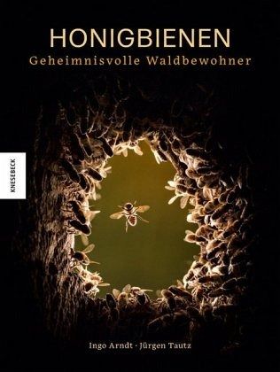 Honigbienen Geheimnisvolle Waldbewohner