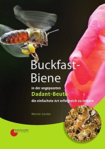 Buckfast-Biene