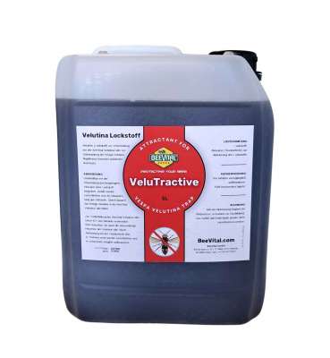 Velutina Falle Für Hornissen - Schutz Für Bienenvölker Von Beevital