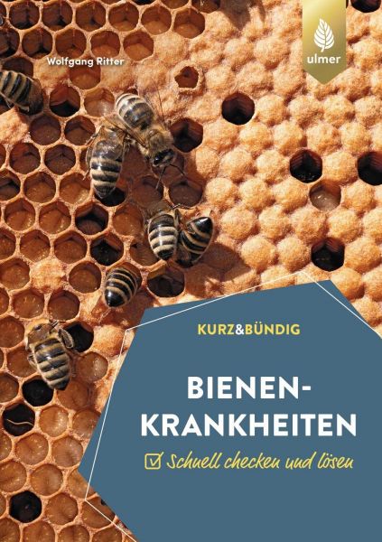 Bienenkrankheiten: Schnell checken und lösen