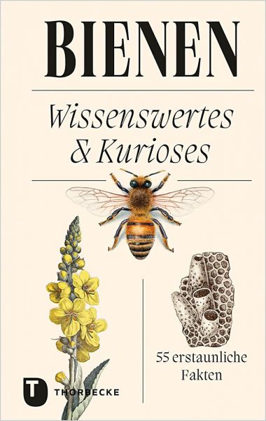 Bienen- Wissenswertes &amp; Kurioses