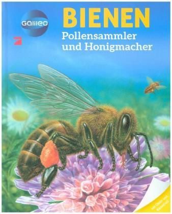 Galileo Bienen Buch
