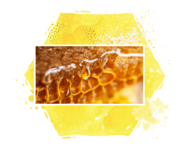 Sechseck mit Bild einer Honigwabe